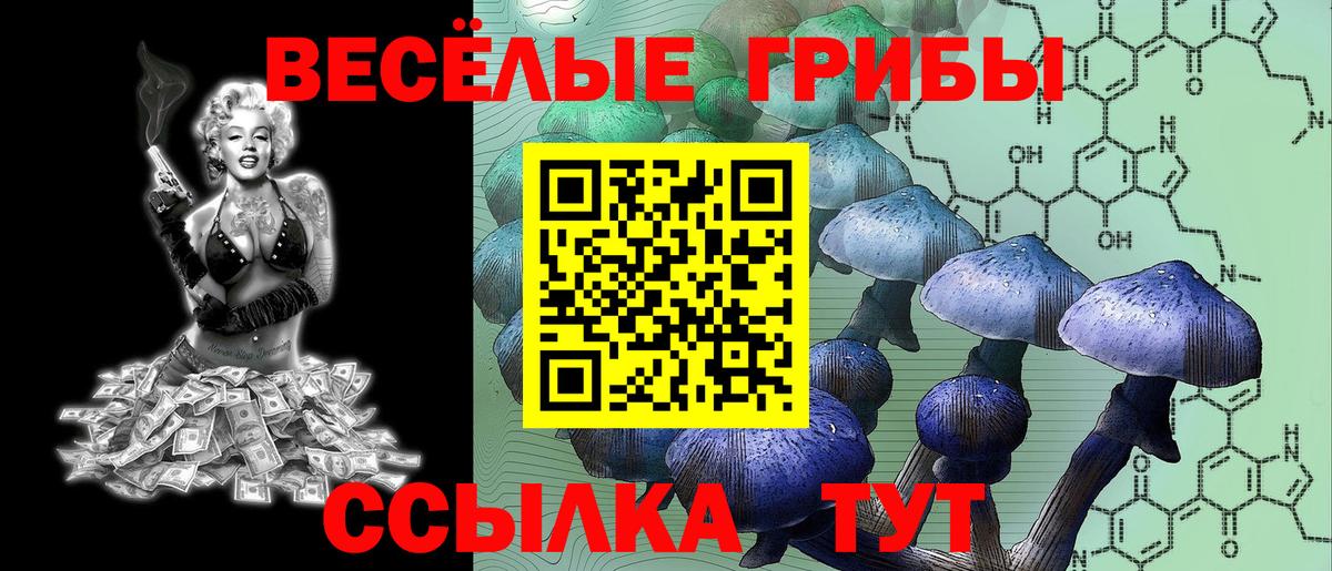 Галлюциногенные грибы Psilocybine cubensis  Вход с VPN  Южноуральск 